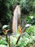 Volcanic waterfall