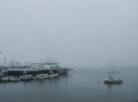 Plymouth sea mist