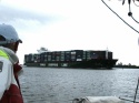 Chinese imports to USA on the Savannah River